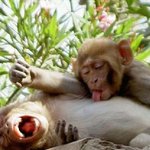 [19] 19)남자친구가 과거에 <b>문란</b>하면