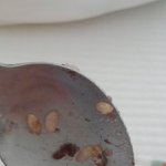 쌀이 이상한데 한번만 봐주세요ㅜㅜ