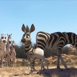 난 남들과 달라! 특급 애니열전! <쿰바>vs<드래곤 길들이기2>