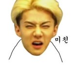 [EXO] 헐칸쵸<b>초록색</b>무슨맛인지모르고먹는데