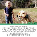 마음으로 보는 사진들..68