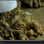 [공토다] 약혐] <b>나무</b>가 되어가는 여자