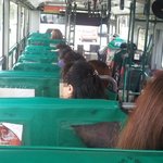 [19] 버스탈때 <b>통로</b>쪽자리에 앉는거