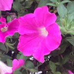 구리 이단상담소 <b>no</b>! 초대교회 신앙을~