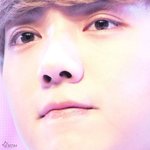 [EXO] 타퀴들은 중복가입 가능 하잖아