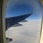 [김쭈꿍] 어느 길냥이의 인생 대역전 스토리 #2.독일