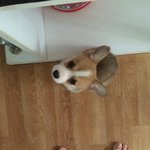 [EXO] 내방에 똥싸서 <b>야단</b>칠려고 했는데