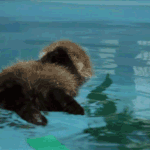 [시우민] 이거 <b>민석</b>이 닮지 않았어??