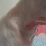 [EXO] 우리집강아지 <b>피부병</b>걸려서