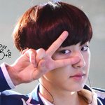 [EXO] 좋은 노래를 찾아서 행복하다