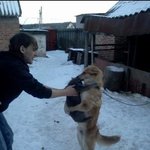 [고양이] <b>아저씨</b>네 고양이 맞죠?