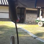 [EXO] <b>잡초</b>캐러왔다 엑셀들아 인증샷