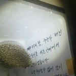 [도와주세요] [경남] 고슴도치 무료<b>분양</b>합니다 .. 꼭 도와주세요