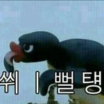 [EXO] 근데 단콘 디비디는 언제나올까