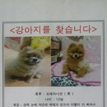 12살 숫놈인 제 친동생과 같은 <b>쭈쭈</b>를 찾습니다...제발 한번만...