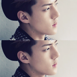 [EXO] 레벨얘긴 레벨톡으로 가세여~^^