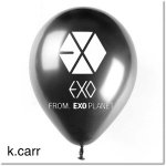 [EXO] 공식색 블랙펄 