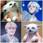 [EXO] 지금 조회<b>수노</b>답인데