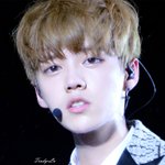 [EXO] 나만루하니이<b>사진</b>보고놀람?