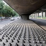 [엽기베스트] 대륙의 주차&amp;<b>노숙</b>자 금지