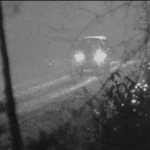 [추억파리여] (약혐)시원한 공포 움짤 <b>gif</b>