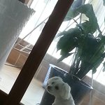 우리애기 떠난지3일째..