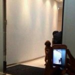 [EXO] ㅋ..내중졸은볼만한데초졸사는진짜