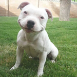 ++추가글//고맙습니다~~!!!^_^당연한일을하구 <b>칭찬</b>받았어요.....