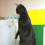 계속 찾는 중입니다.(찾으면 게시글을 올릴 것입니다.)