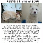 학대와 <b>방치</b>로 인해 삶의 끈을 놓았던 오공이가 가족을 찾아요