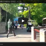 [대박] [빵터짐] 팬더가 사육사 카트타고 <b>도망</b>감..ㄷㄷ