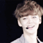 [루한] ㅅㄷ)ㅠㅠㅠ허니들ㅠㅠㅠ