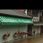 [콜로라도] <b>태풍</b>을 뒤집어쓴 열도의 모습..