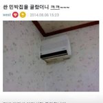 [콜로라도] 어느 <b>민박</b>집의 창조경제...