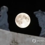 [백현] 슈퍼문이 떴다