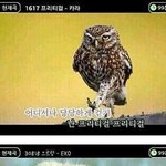 [엽기베스트] 적절한 노래방 <b>화면</b>
