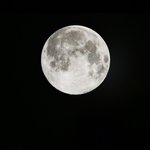 [카이] 카이 홈마들이 찍은 슈퍼문