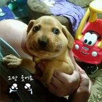 마음으로 보는 <b>사진들</b>..69
