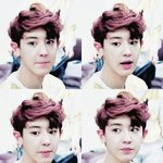 [EXO] 나는 백혐보다 둘기가더혐