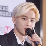 [EXO] 상견례 <b>프리</b>패스용 얼굴