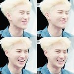 [EXO] 워후 이제 욕 뒤지게 먹을시간이 얼마 안남았다