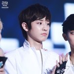 [EXO] 일코하는 애들?