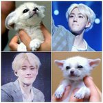 [EXO] 김준면은분명성인인데왜