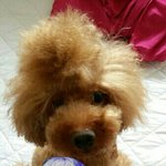 [exo] <b>종인</b>아 다음에는