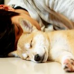 [인피니트] 나 열이 입덕사진