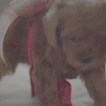 [EXO] 슴콘 같이갈분 구합니다~