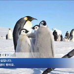 [여자의<b>심리</b>] 여자들이 좋아하는 나쁜남자는 이런거야