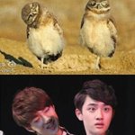 [EXO] 결혼한 최애가 알고보니 일베<b>유저</b>vs