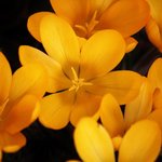 이단접근법 <b>no</b>! 신천지 성경해석에 감동을~