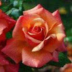 신천지 센터 <b>주소</b>, 천국의 <b>주소</b>에요